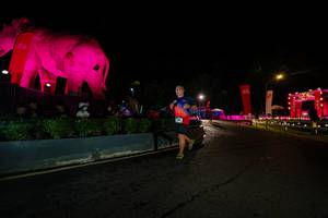 BIB: 
                            <button type="button" onclick="openModal(26552652)" class="btn btn-primary btn-sm float-right btn-popup" data-toggle="modal" data-target=".modal-high-quality">
                        <i class="fas fa-shopping-cart"></i> Add to Cart
                    </button>
                                            <button type="button" onclick="isThisMe(26552652, true)" class="btn btn-success btn-sm float-right btn-popup btn-isme hidden" data-toggle="tooltip" data-placement="bottom" title="นี่คือรูปของคุณใช่ไหม คลิกที่นี่เพื่อเอาเข้าอัลบั้ม">
                        <i class="fas fa-plus"></i> Add to album
                    </button>
                    <button type="button" onclick="isThisMe(26552652, false)" class="btn btn-warning btn-sm float-right btn-popup btn-isnotme hidden">
                        <i class="fas fa-ban"></i> Remove from album
                    </button>